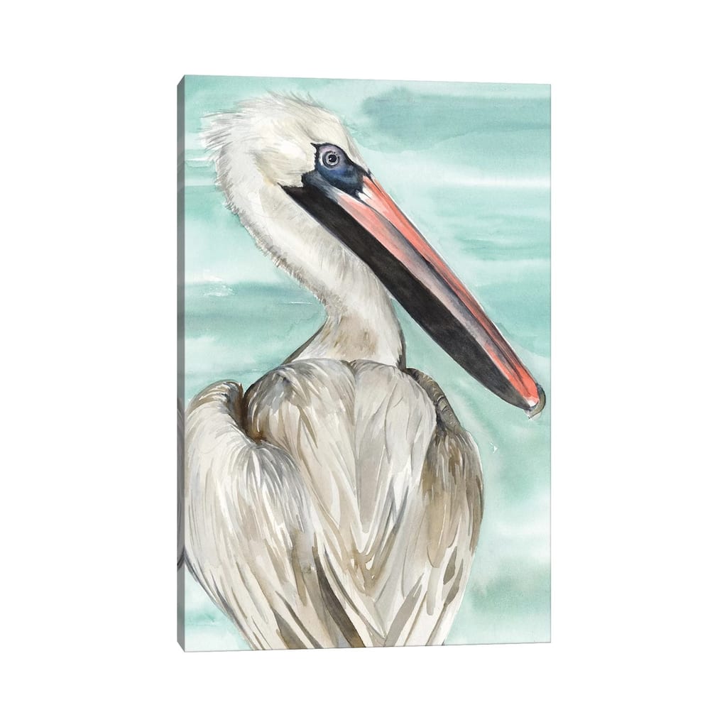 iCanvas "Turquoise Pelican I" by Jennifer Paxton Parker Canvas Print