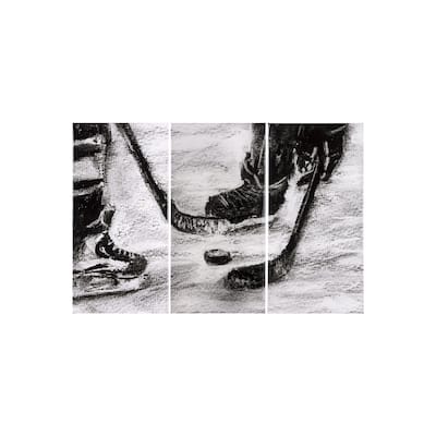 Sports Collection Hockey (Set of 3) (20 x 40) Canvas Art Print