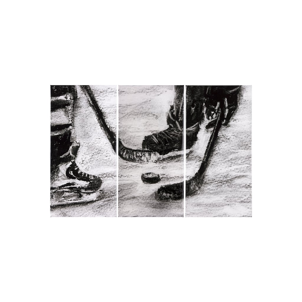 Sports Collection Hockey (Set of 3) (20 x 40) Canvas Art Print