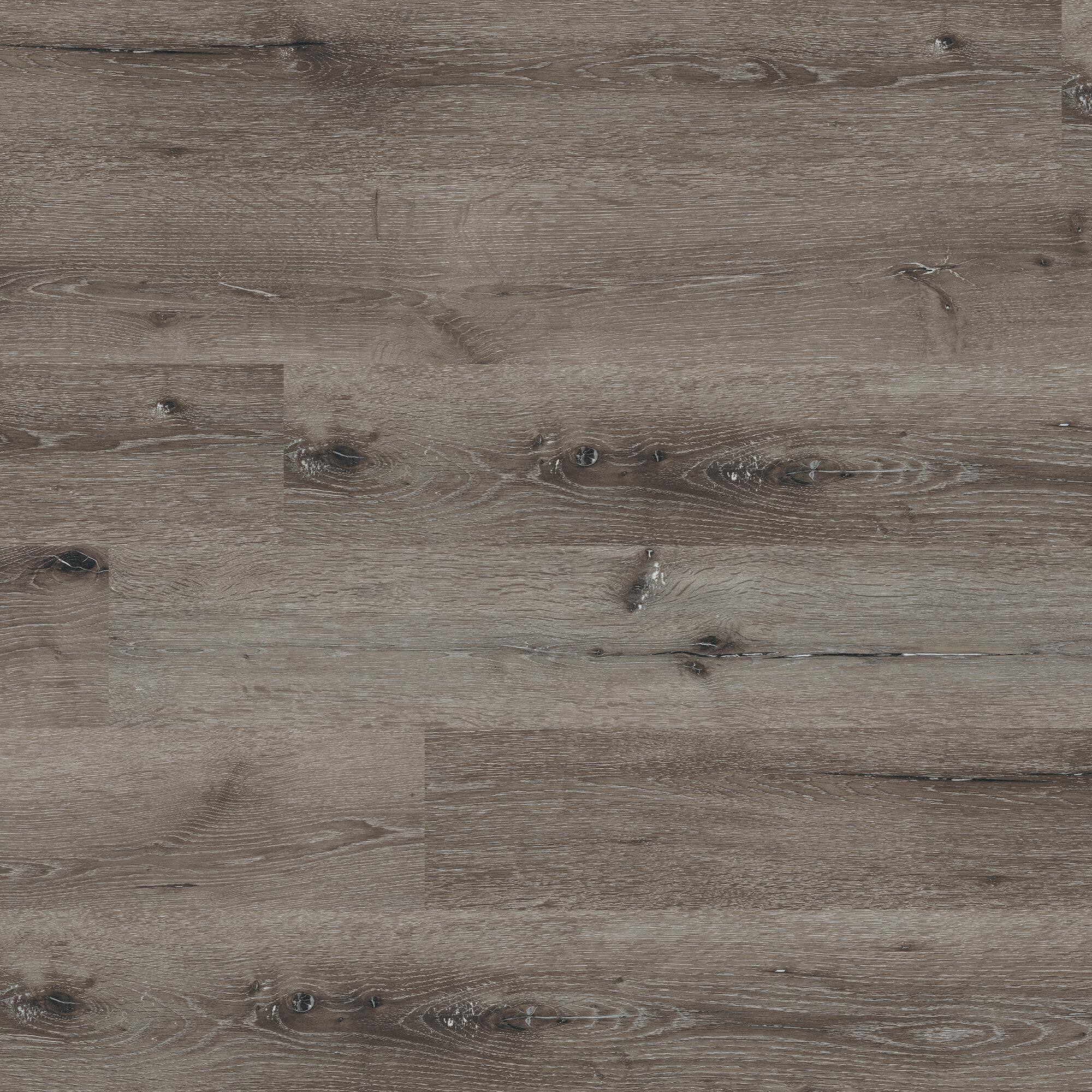 Option Eastern Ash