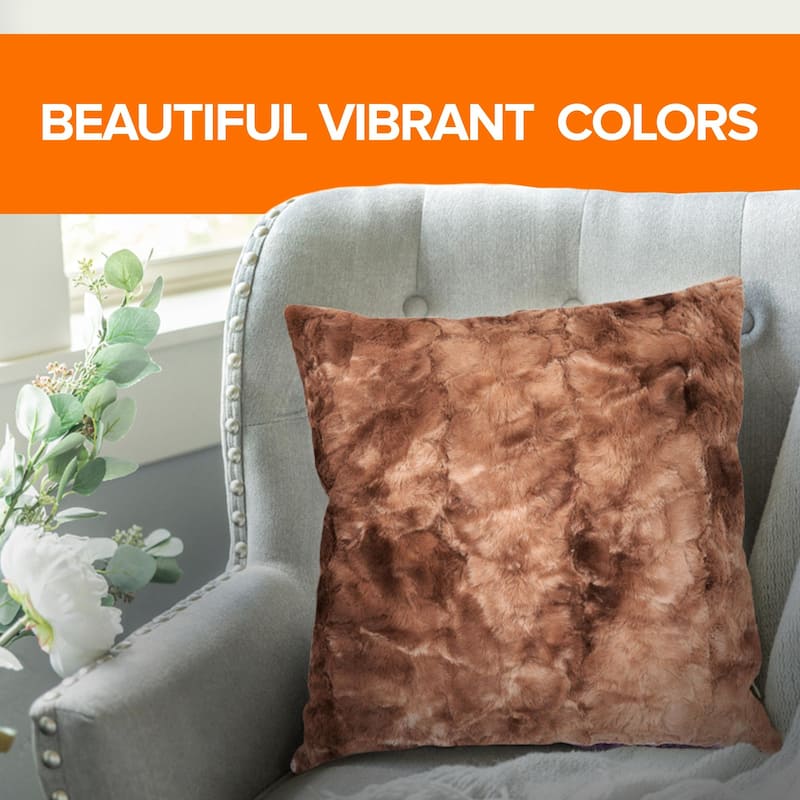 Cheer Collection Set of 2 18"x18" Ultra Soft and Cozy Throw Pillows