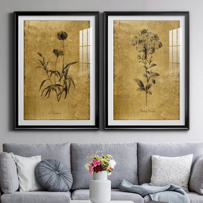 Gold Sketch Botanical I Premium Framed Print - Ready to Hang