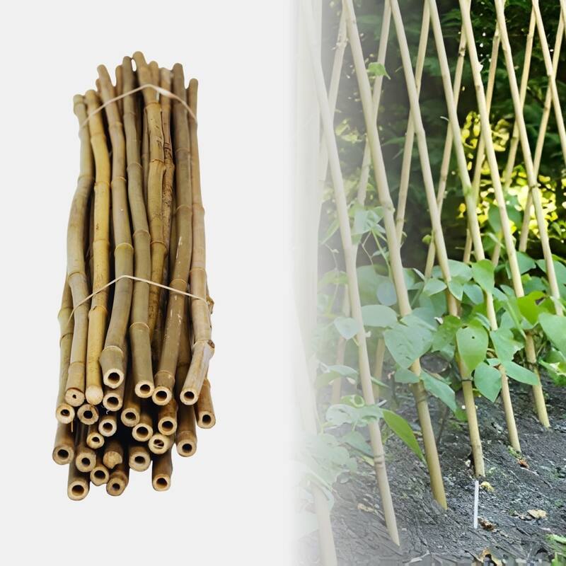 Bamboo Stakes For Gardening Plant Support for Garden Natural (25-Pack)