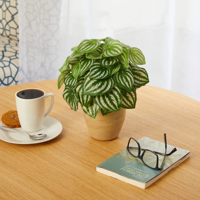 11" Watermelon Peperomia Plant in Ceramic Planter (Real Touch)