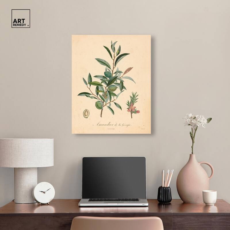 Almond of Georgia I Canvas by Art Remedy, Gallery Wrapped