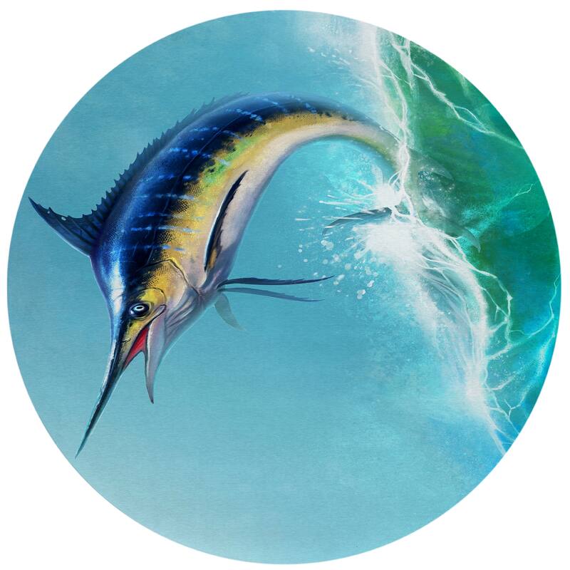Indoor/Outdoor Harpswell Swordfish Washable Rug