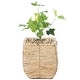 preview thumbnail 8 of 7, Woven Square Flower Pot Planter with Leak-Proof Plastic Lining Small