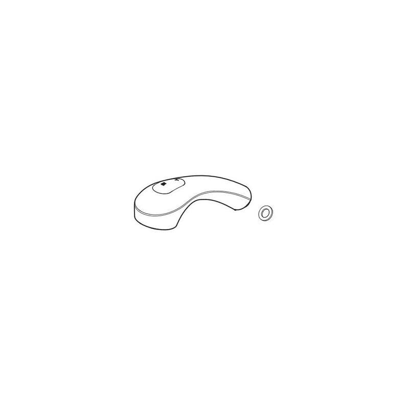 Pfister Replacement Spray Head for the Pfister F-WKP-700 Shelton