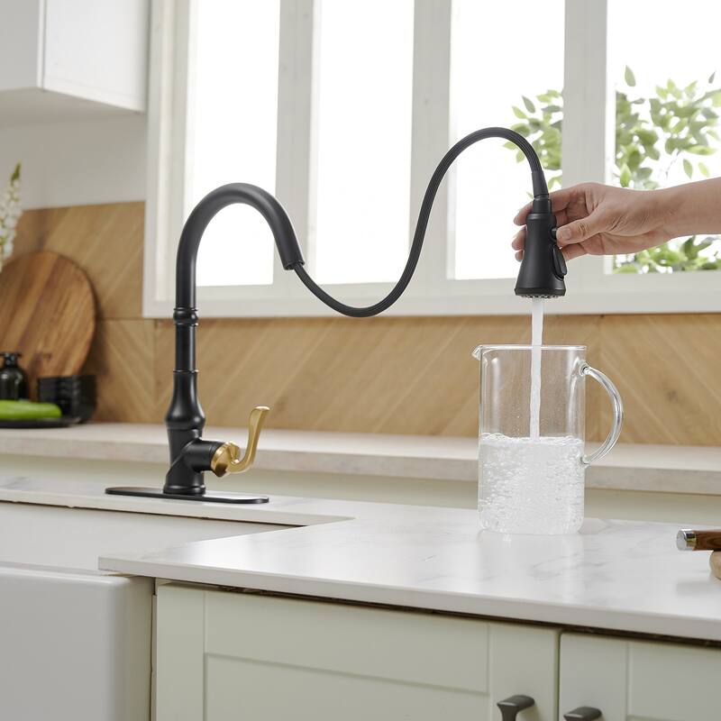 WIZ Single-Handle Pull-Down Sprayer 3 Spray High Arc Kitchen Faucet