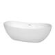 Option White, Shiny White Trim