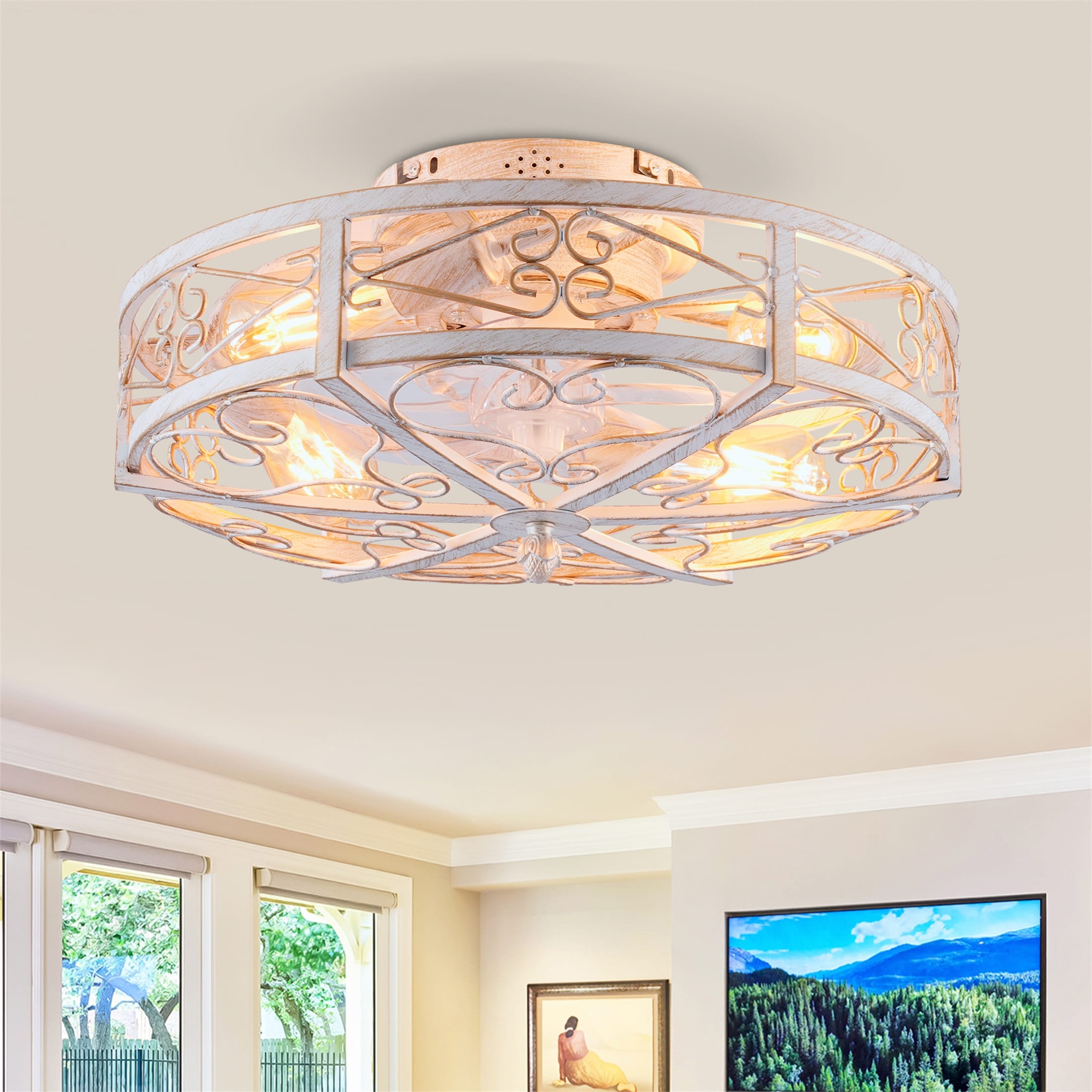 20'' Mounting Type Caged Ceiling Fan with Lights and Remote Control