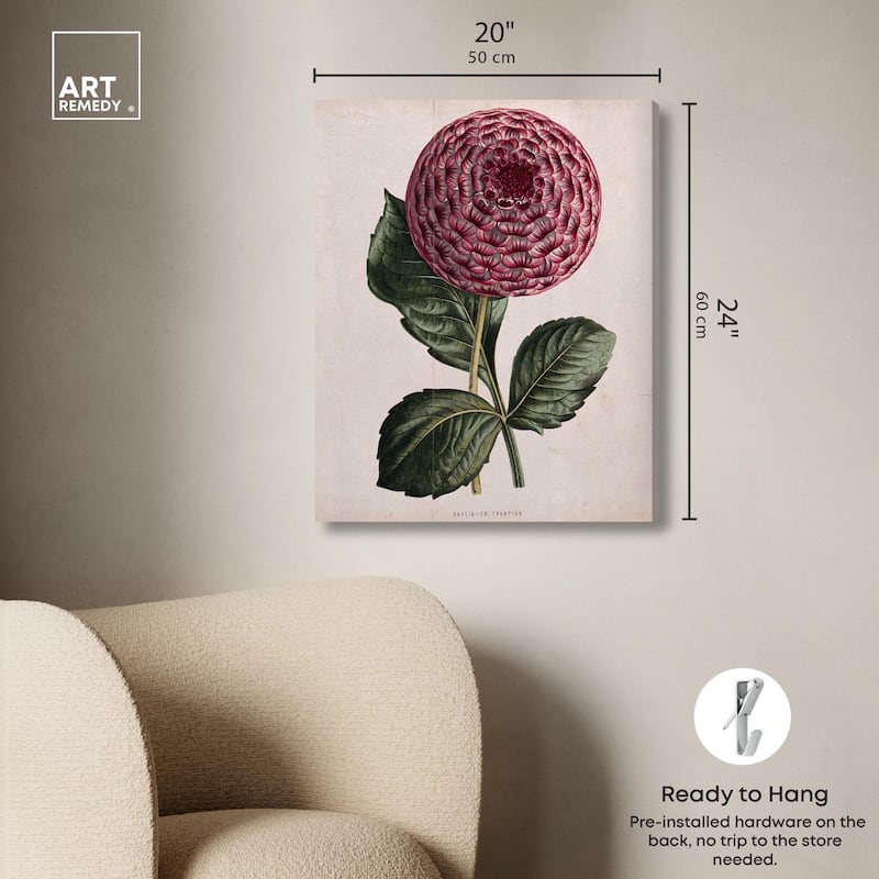 A dahlia Canvas by Art Remedy, Gallery Wrapped