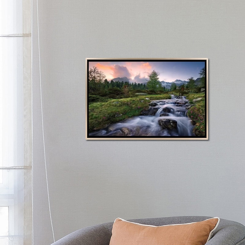 "Wild Paradise" by Stefan Hefele Framed