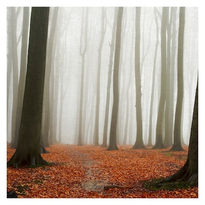 Autumn Forest Floor by PhotoINC Studio Canvas Art Print
