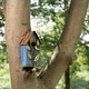 preview thumbnail 37 of 62, Glitzhome 10"H Multicolor Cute Distressed Solid Wood Birdhouse with 3D Flowers