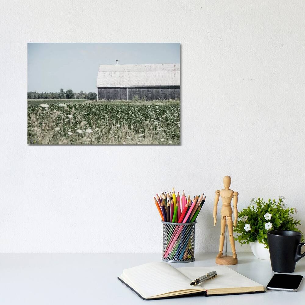 iCanvas "Weathered I" by Elizabeth Urquhart Canvas Print