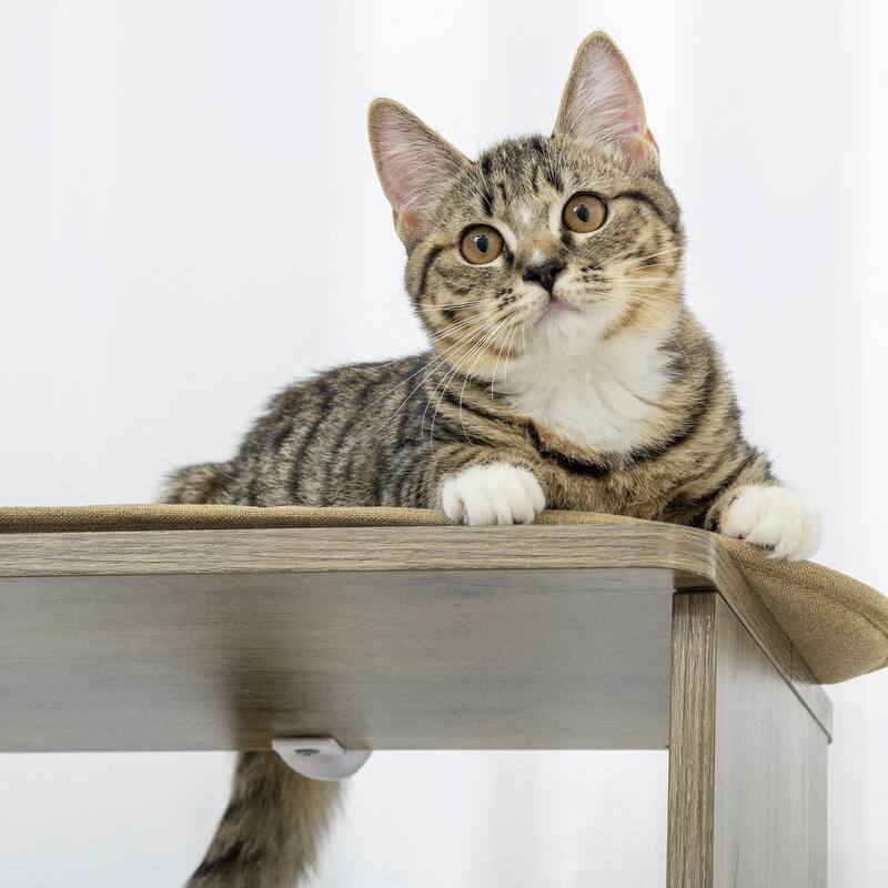 PawHut 65" Corner Modern Cat Tree Tall for Climbing, Large Multilevel Cat Tower with Scratching Posts, Small-Fit Kitten Tower