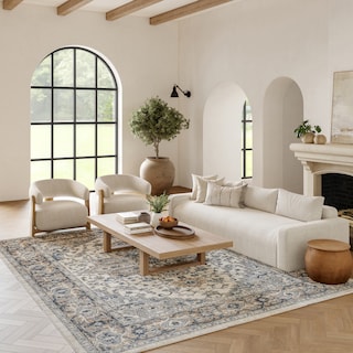 Nourison Concerto Classic Persian Medallion Area Rug.