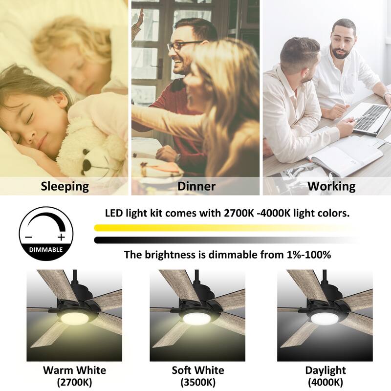 CARRO Joule 48" Smart Ceiling Fan with LED Light and Remote-Downrod