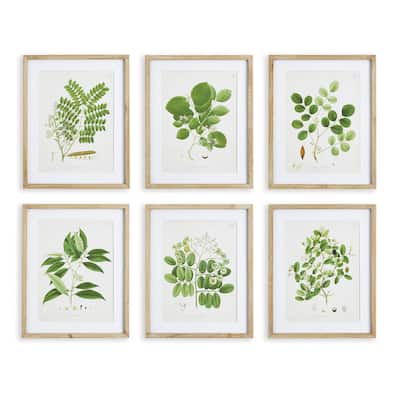 Tree Leaf Study