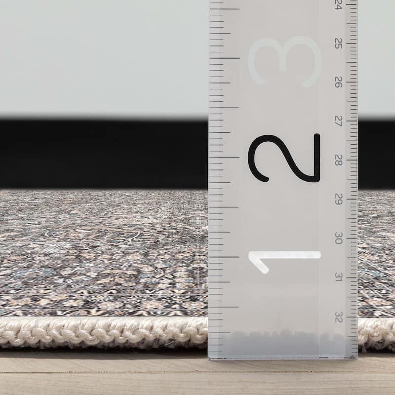 Well Woven Asha Isolde Vintage Oriental Flat-Weave Area Rug