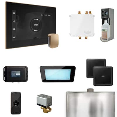 Mr Steam BLS1 Bliss Package Steam Shower Control Package with Isteamx