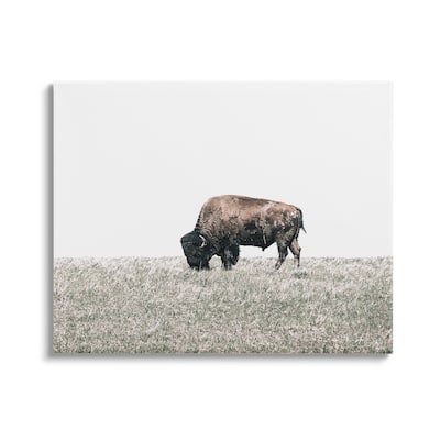Stupell Buffalo Grazing Pasture Canvas Wall Art Design by Daniel Sproul
