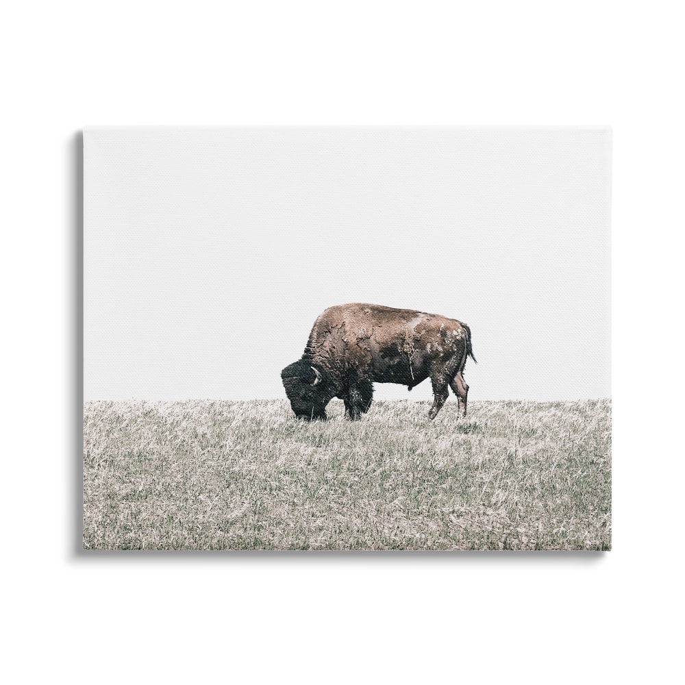 Stupell Buffalo Grazing Pasture Canvas Wall Art Design by Daniel Sproul