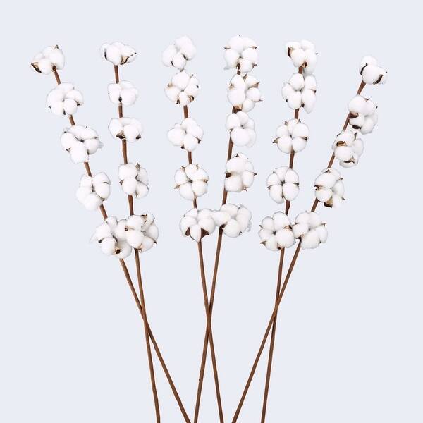 Shop 6 Pack 27 Inch Cotton Stems Farmhouse Decor Rustic Style Vase