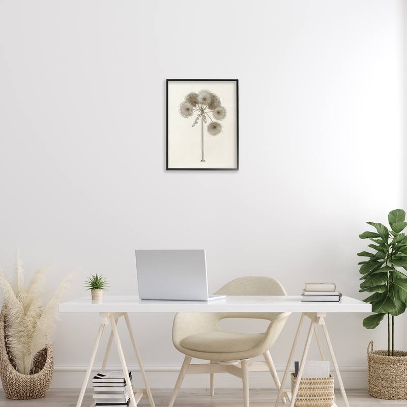 Stupell Vintage Study of Palm Tree Framed Giclee Art Design By Phillipa Katz