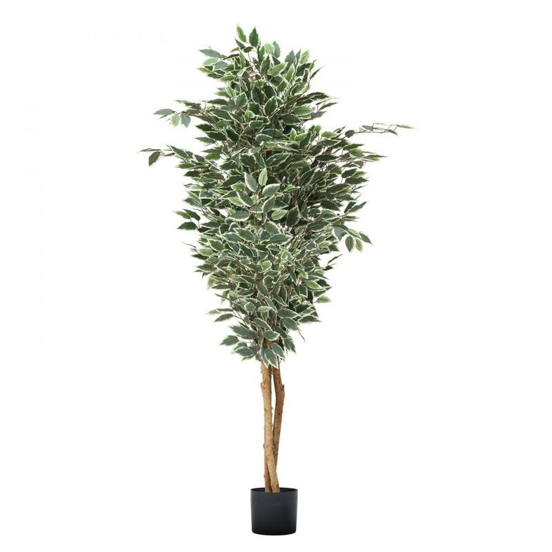 6ft Ficus Tree Artificial Plant with Lifelike Green Leaves and Flexible Branches for Home Decor - 34.65 x 34.65 x 72.83 in