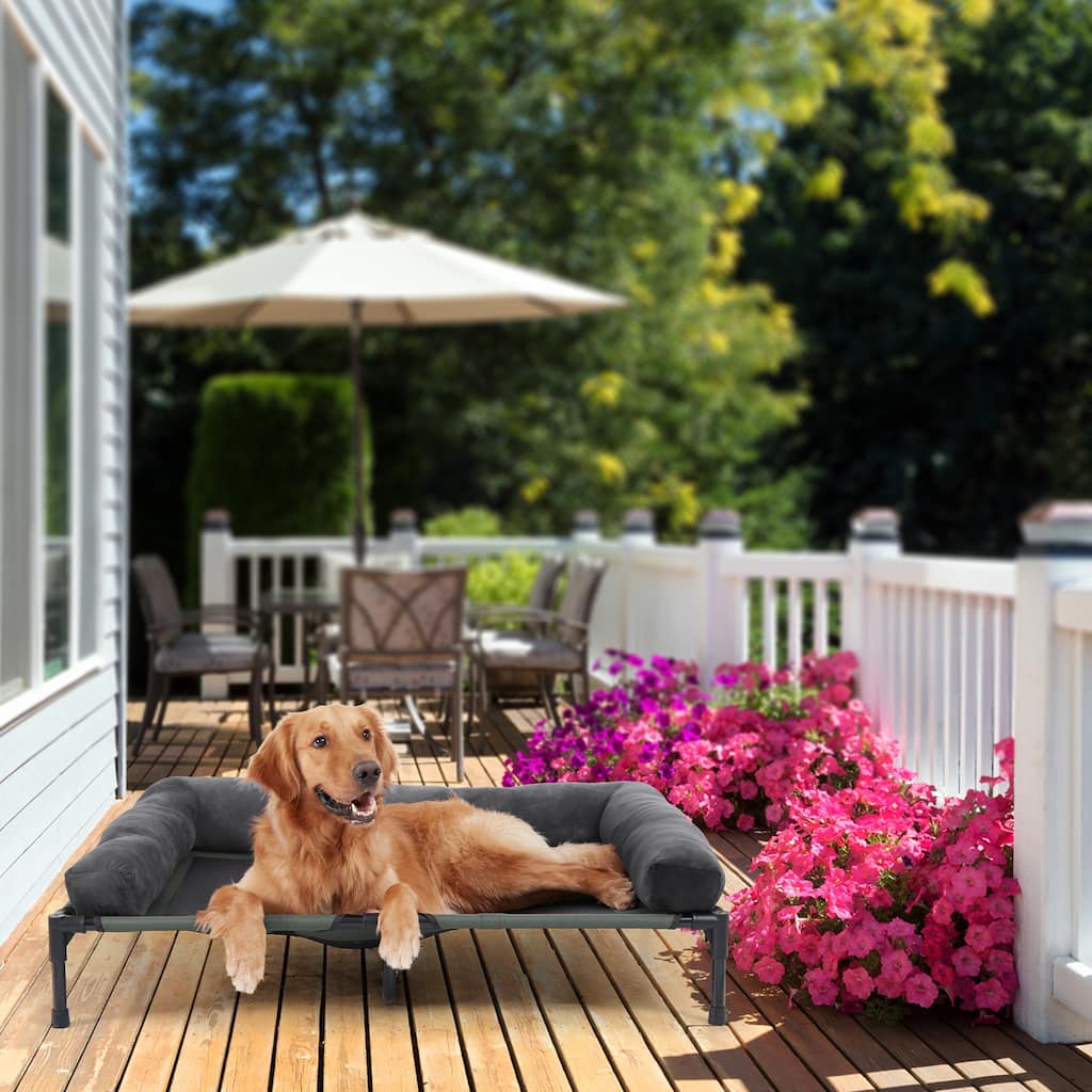 Elevated Dog Bed Bolstered Pet Raised Bed with Fleece Cushion Indoor