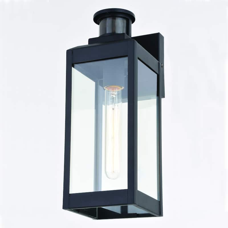 Kinzie Black Motion Sensor Dusk to Dawn Outdoor Wall Light Clear Glass