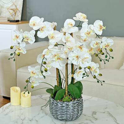 7 Stems Artificial Real Touch Silk Orchid with Succulents in Bamboo Woven Basin - 27.95" H x 27.17" W x 27.17" D