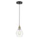 Option Clear / Black Antique Brass