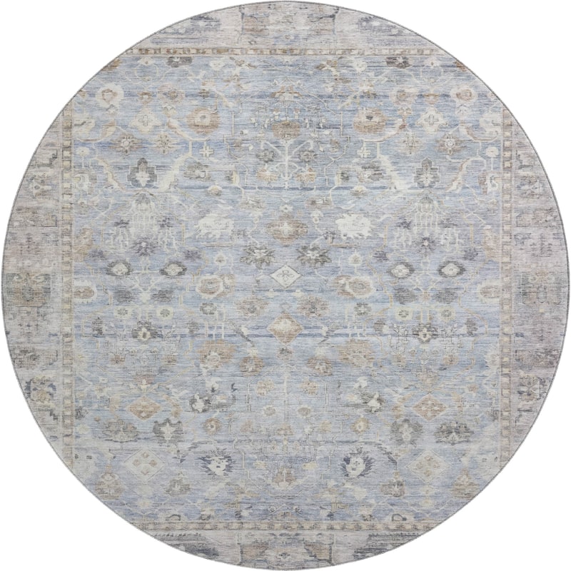 Premium Washable Super Soft Vintage Traditional Mayfield Rug