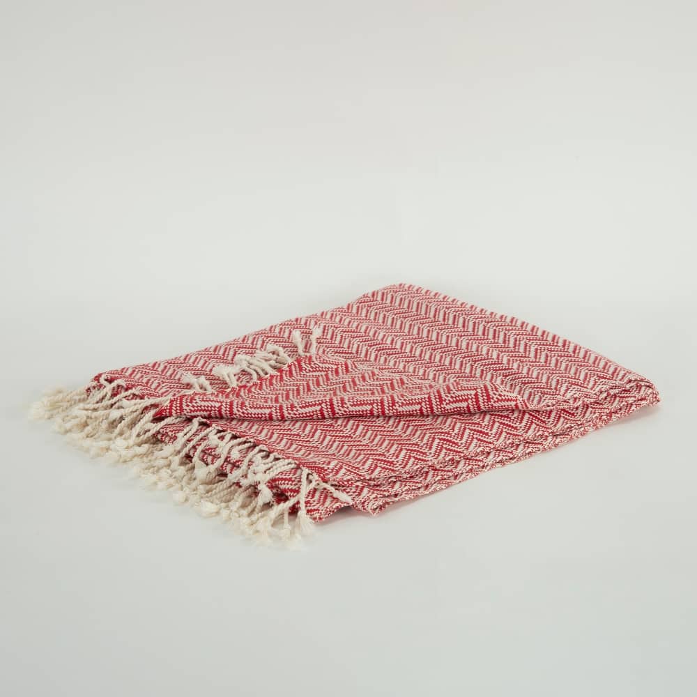 Rizzy Home Chevron Hand Loomed Woven Throw