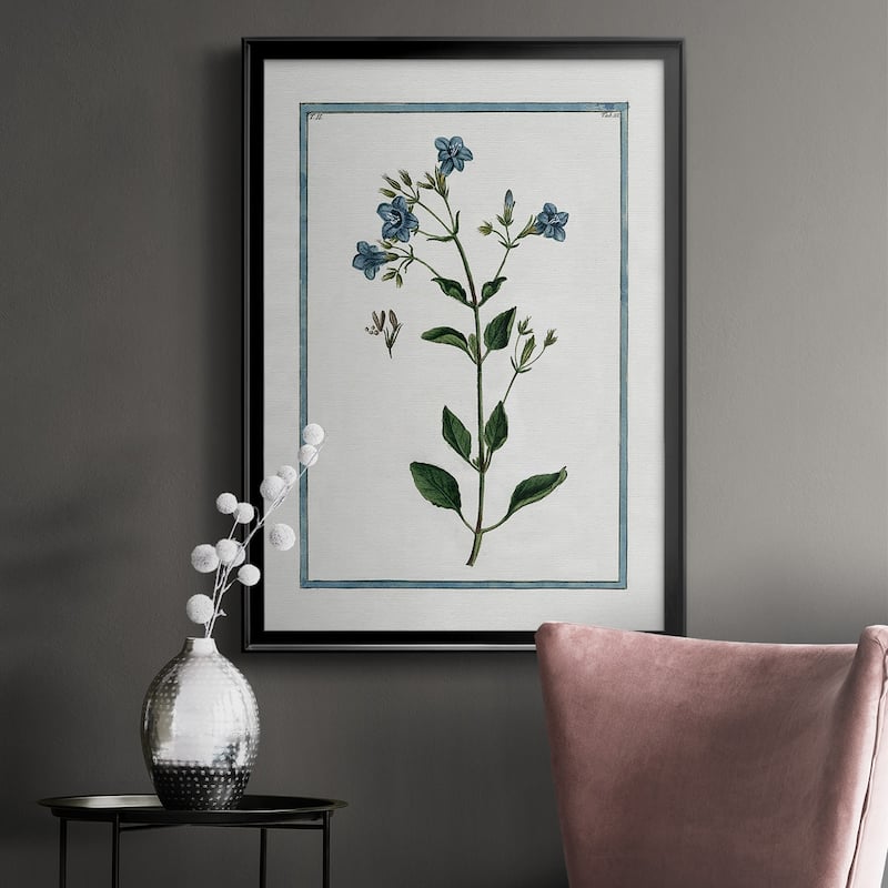 Shabby Chic Botanical II Premium Framed Print - Ready to Hang