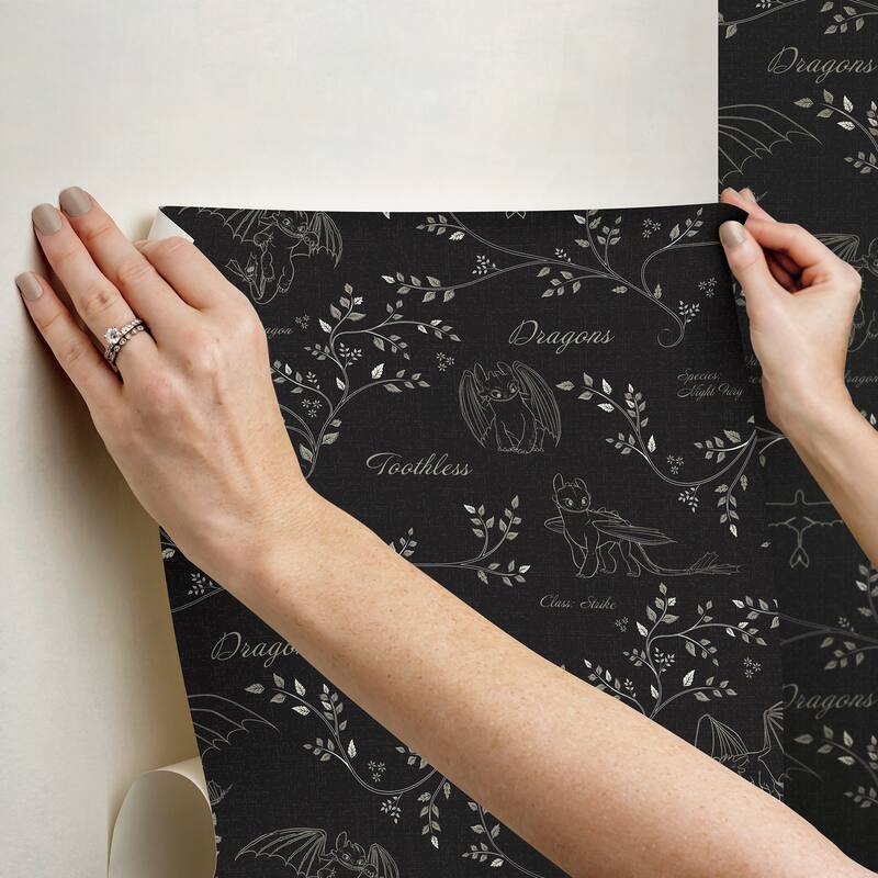 How to Train Your Dragon Toothless Radical Nature Black Peel and Stick Wallpaper