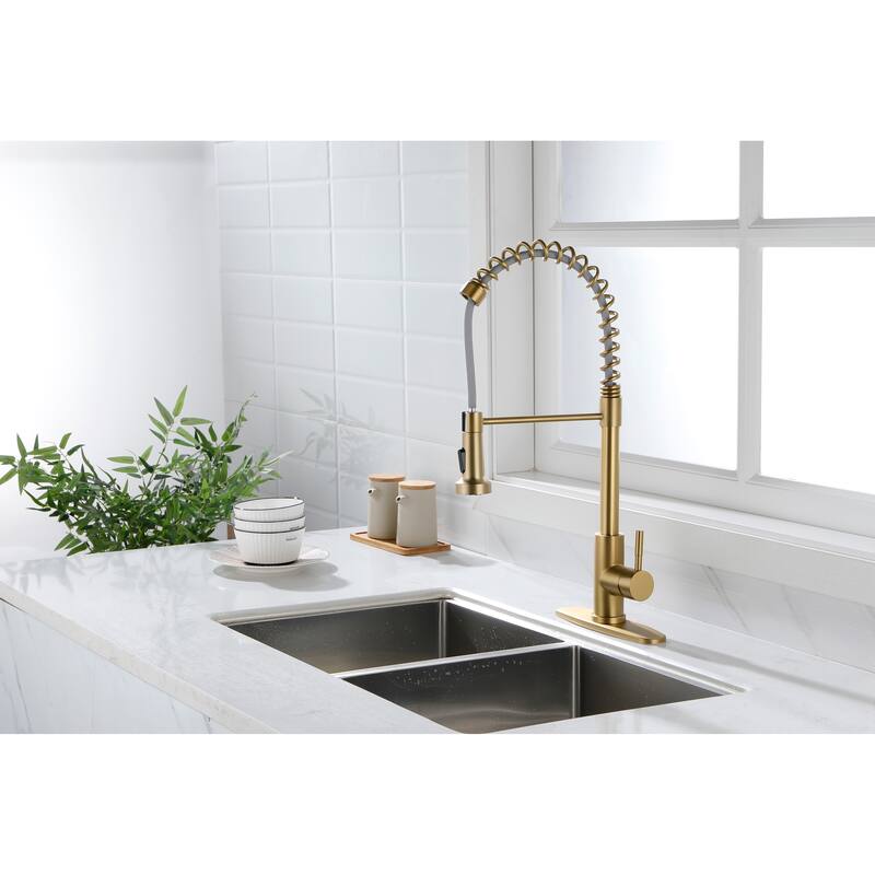 Kitchen Faucet with Pull Out Spraye