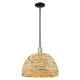 Option Black Antique Brass