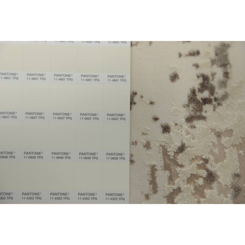 Machine Made Oriental Polyester Carpet Modern Abstract Beige & Ivories Abstract Area Rug - 7' 9'' X 5' 2''