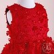 preview thumbnail 3 of 5, Special Occasion Dress with Flowers on Tulle and Skirt