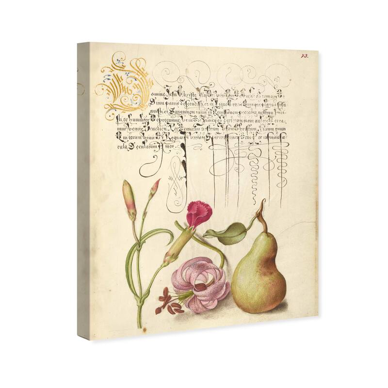 Wynwood Studio Canvas Floral and Botanical Hoegnafel - Carnation Martagon Lily and Pear Wall Art Canvas Print