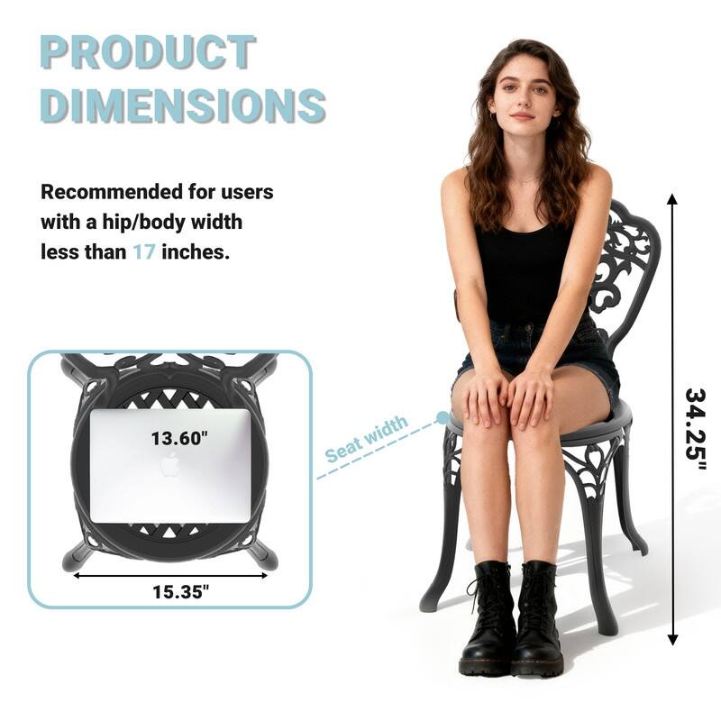 Black Aluminum Patio Outdoor Dining Chair (2-Pack)