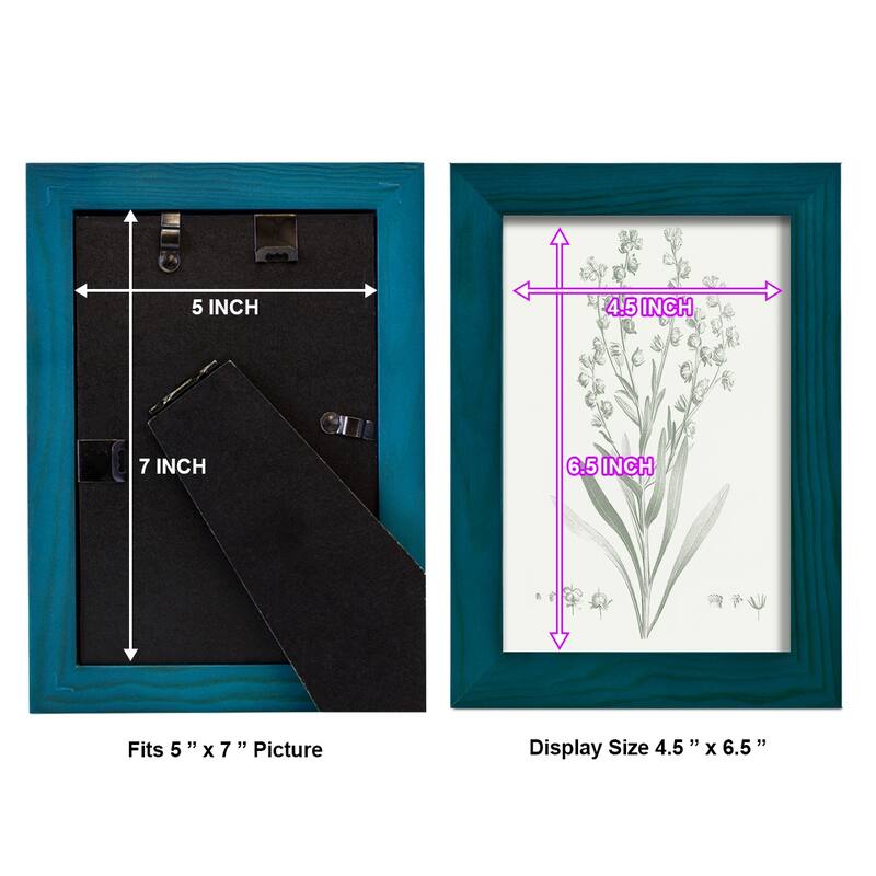 Botanical Study in Sage I -Framed Print w/glass-Cherry Red