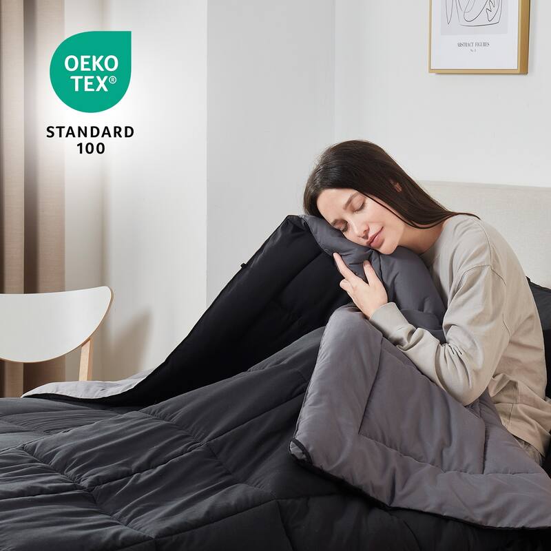 Empyrean All Season Alternative Down Lightweight Reversible Comforter Set