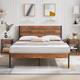 Option Brown Nightstands