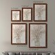 preview thumbnail 16 of 43, Delicate Arrangement I-Premium Framed Canvas - Ready to Hang