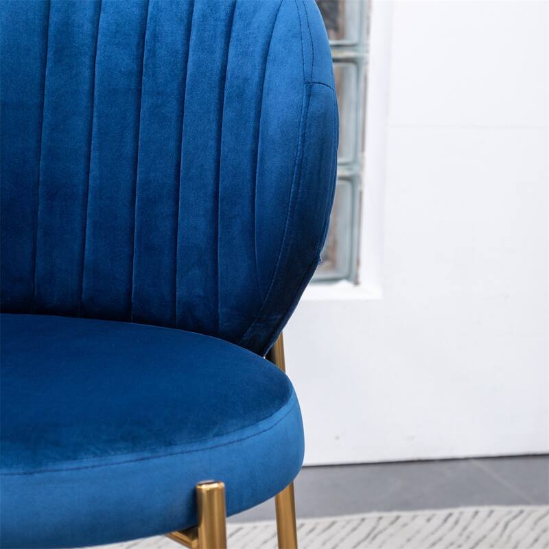 Contemporary Velvet Upholstery Dining Chair, Blue